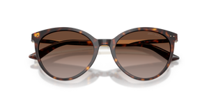 Havana / Gradient Brown (500213)