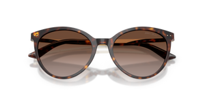 Havana / Gradient Brown (500213)