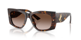 Havana / Brown Gradient (500213)