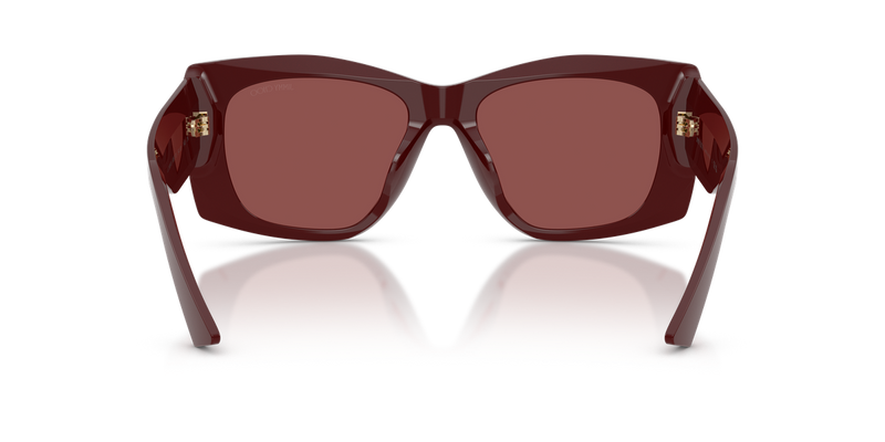 Jimmy Choo JC5061U in Cranberry / Dark Violet (505775) - Alternate View