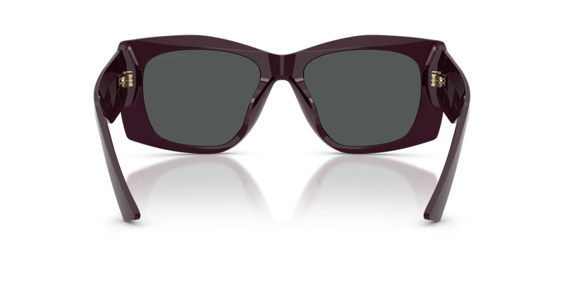 Jimmy Choo JC5061U in Prune / Dark Grey (507587) - Alternate View