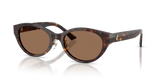 Havana / Dark Brown (500273)