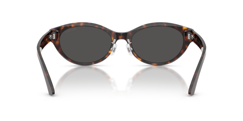 Jimmy Choo JC5064D in Havana - Alternate View