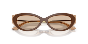 Brown/Tan / Light Brown (510593)