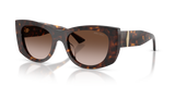 Havana / Brown Gradient (500213)