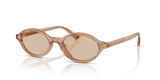 Transparent Tan / Light Brown (507693)