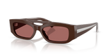 Chocolate / Dark Violet (512069)