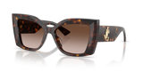 Havana / Brown Gradient (500213)