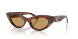 Striped Brown / Brown (511273)