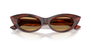 Striped Brown / Brown (511273)