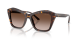 Havana / Brown Gradient (500213)