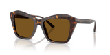 Havana / Dark Brown Polarized (500283)