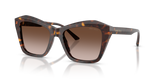 Havana / Brown Gradient (500213)
