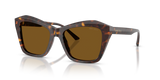 Havana / Dark Brown Polarized (500283)