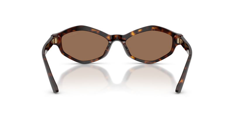 Jimmy Choo JC5077U in Havana - Alternate View