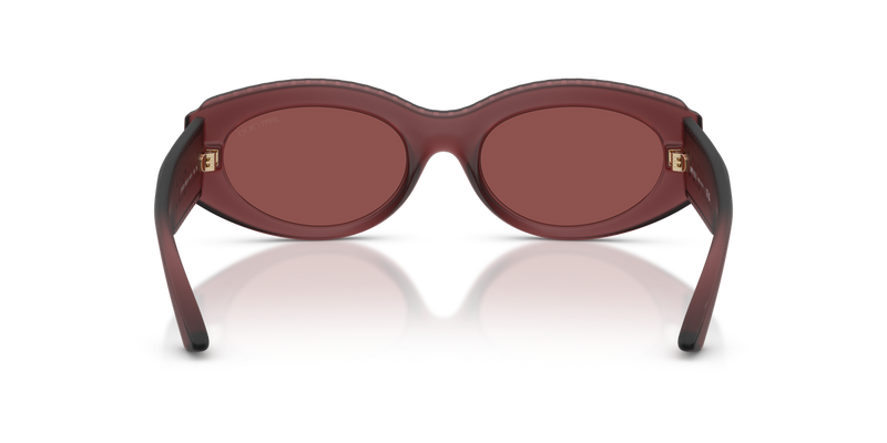 Jimmy Choo JC6002U in Transparent Cranberry / Dark Violet (509375) - Alternate View