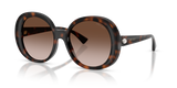 Havana / Brown Gradient (500213)
