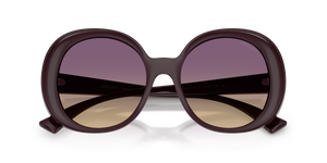 Prune / Yellow Gradient Violet (507570)