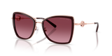 Rose Gold/Cordovan / Burgundy Gradient (11088H)