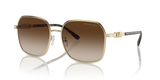 Shiny Light Gold / Brown Gradient (101413)