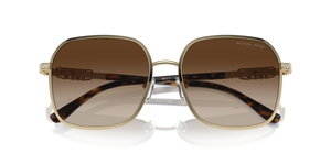 Shiny Light Gold / Brown Gradient (101413)