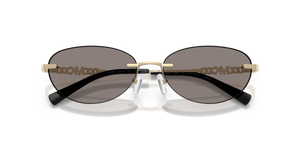 Light Gold Shiny / Dark Grey (101487)