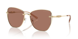 Shiny Light Gold / Light Brown Solid (101403)