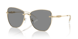 Shiny Light Gold / Grey Solid (10143F)