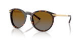Dark Tortoise / Brown Gradient Polarized (3106T5)