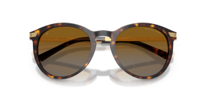 Dark Tortoise / Brown Gradient Polarized (3106T5)