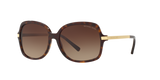 Dark Tortoise / Brown Gradient (310613)