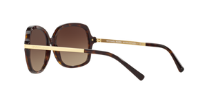 Dark Tortoise / Brown Gradient (310613)