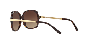 Dark Tortoise / Brown Gradient (310613)