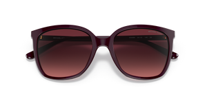 Cordovan / Cordovan Gradient (33448H)