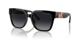 Black / Grey Gradient Polarized (3005T3)