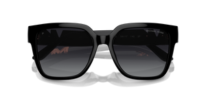 Black / Grey Gradient Polarized (3005T3)