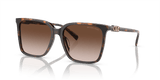 Dark Tortoise / Brown Gradient (300613)
