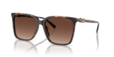 Dark Tortoise / Brown Gradient Polarized (3006T5)