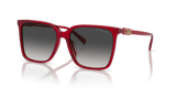 Red / Dark Grey Gradient (39558G)