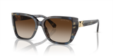 Bright Blue Tortoise / Brown Gradient (395213)