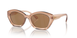 Brown Transparent / Brown Black (3999/O)