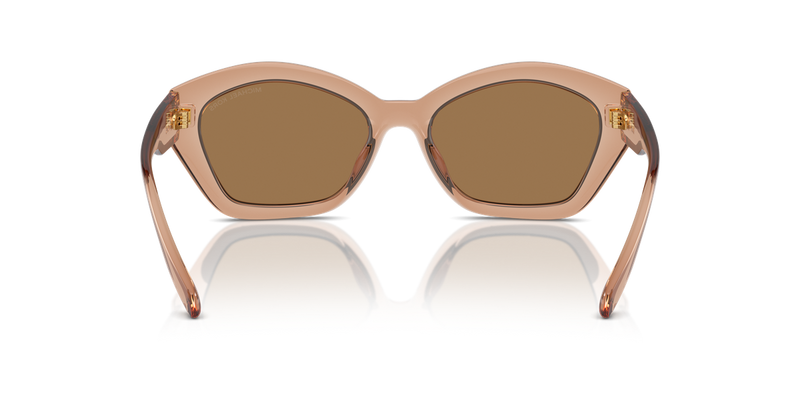 Michael Kors BEL AIR in Brown Transparent / Brown Black (3999/O) - Alternate View