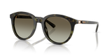 Olive Tortoise / Olive Gradient (39433M)