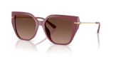 Mulberry / Brown Gradient Polarized (3256T5)