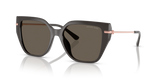 Ash / Ash Solid (4003/3)