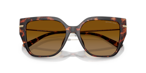 Luggage Tortoise / Brown Polarized (40319P)