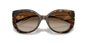 Dark Tortoise / Brown Gradient (300613)