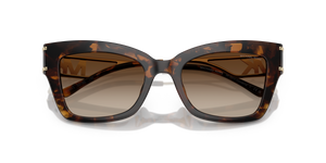 Dark Tortoise / Brown Gradient (300613)