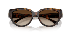 Dark Tortoise / Smoke Gradient (300613)