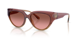 Dusty Rose Light Brown / Brown Rose Gradient (325611)